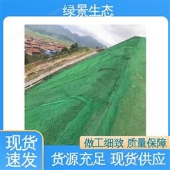 抗水土流失 支持定制 河道固土塑料 防护三维植被网 绿景