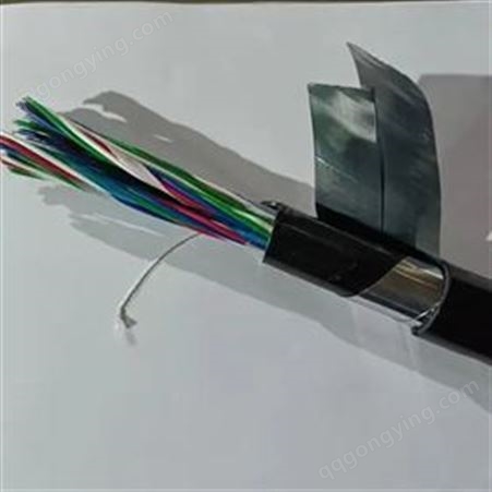 PTYL23铝护套电缆PTYA2324*1.0铁路信号电缆