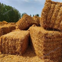 小麦秸秆 新鲜麦草工厂 LH/李虎 牛羊马干草料 常年供应 农场直发