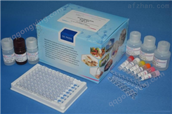 大鼠CD8分子（CD8）ELISA试剂盒