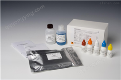 大鼠Ⅰ型前胶原N端前肽（PⅠNP）ELISA试剂盒